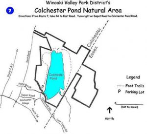 Colchester Pond Trail Map (Temporary)